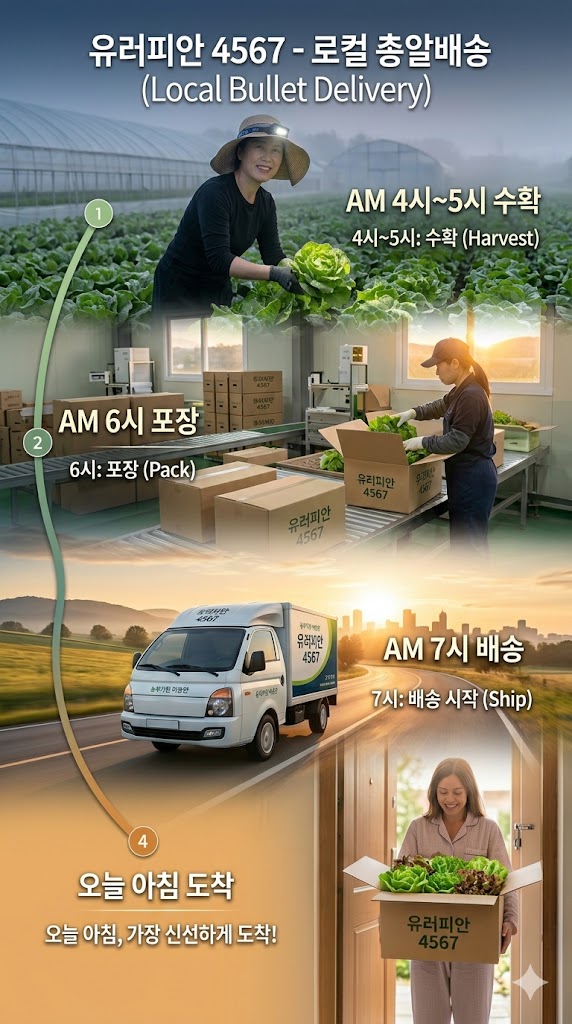 4567 시스템 배송 과정